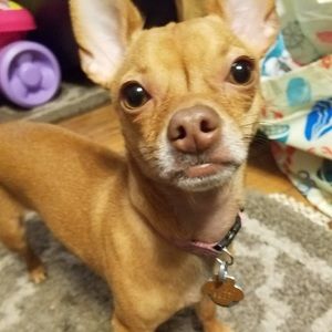 Meet your Posher, Selena